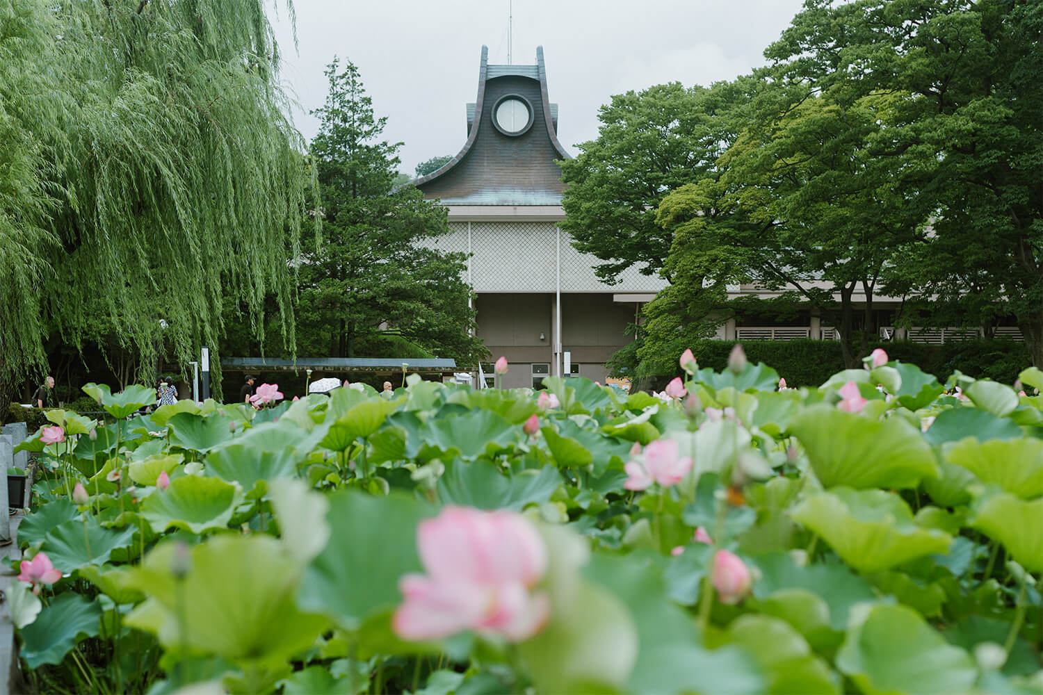 千秋公園